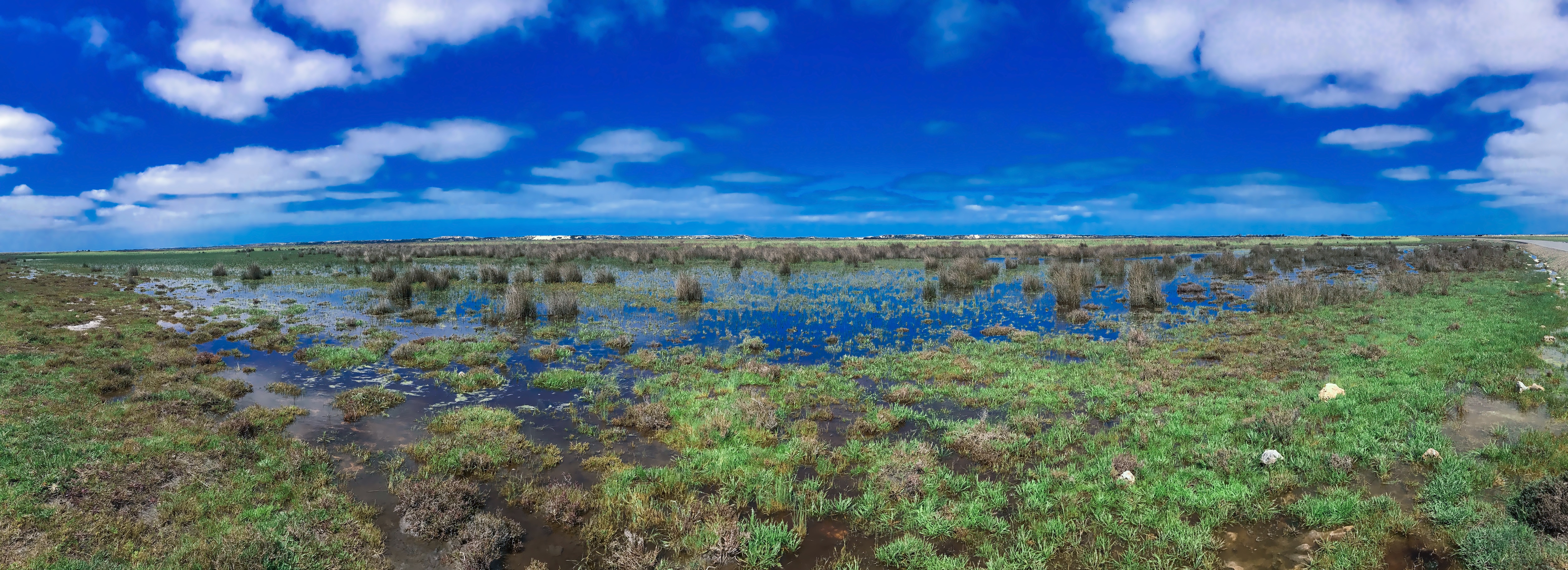 mundoo-wetland-hdr